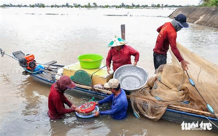 Miền Tây chờ đón mùa nước nổi