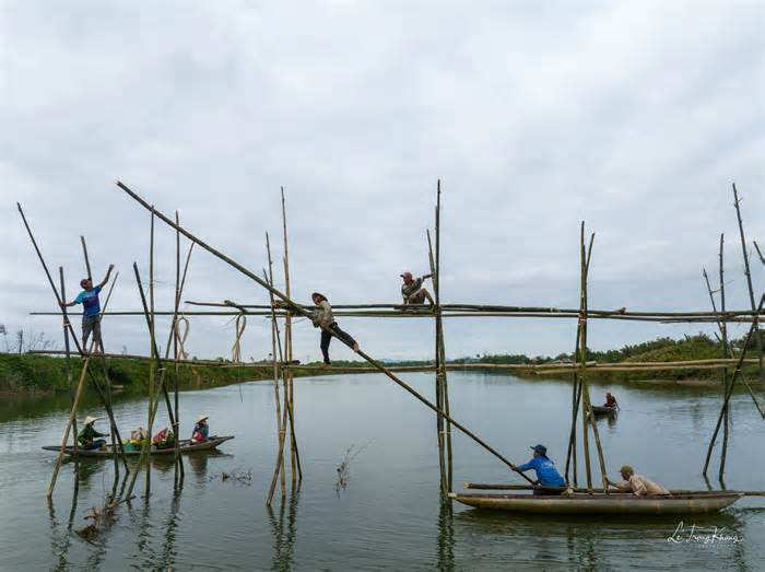 Người dân đu mình cắm sào làm cầu ‘Thạch Sanh’ nối hai bờ sông Thu Bồn