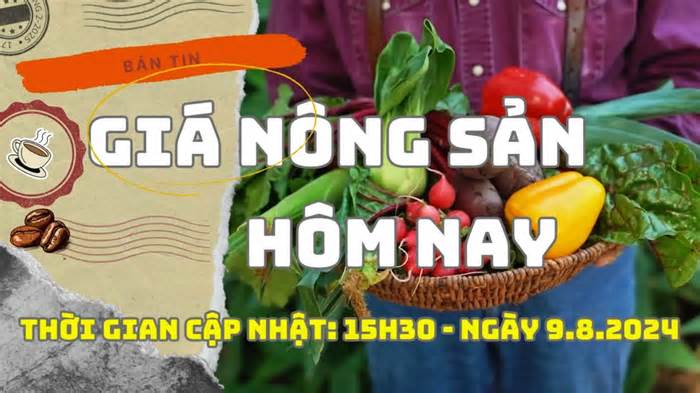 Giá nông sản hôm nay 9.8: Hồ tiêu nối dài đà tăng giá mạnh