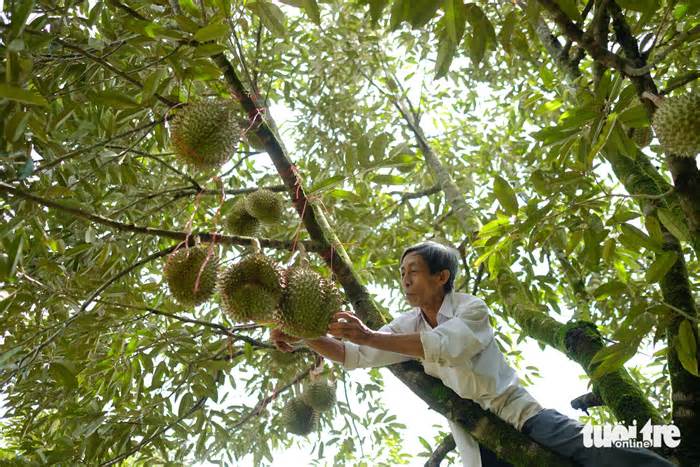 Câu lạc bộ Những người nông dân tỉ phú