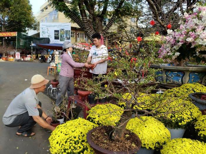 Chợ hoa Đắk Lắk vắng khách, tiểu thương như ngồi trên lửa