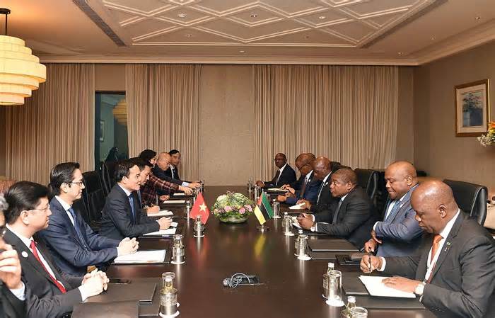 Phó Thủ tướng Trần Lưu Quang gặp Tổng thống Mozambique và Thủ tướng Cộng hòa Czech
