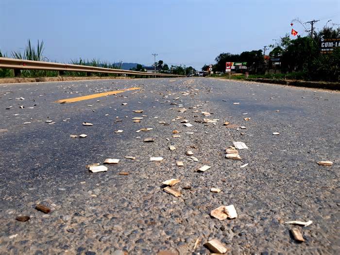 Gỗ dăm rơi vãi tràn lan trên tuyến đường Hồ Chí Minh qua Nghệ An