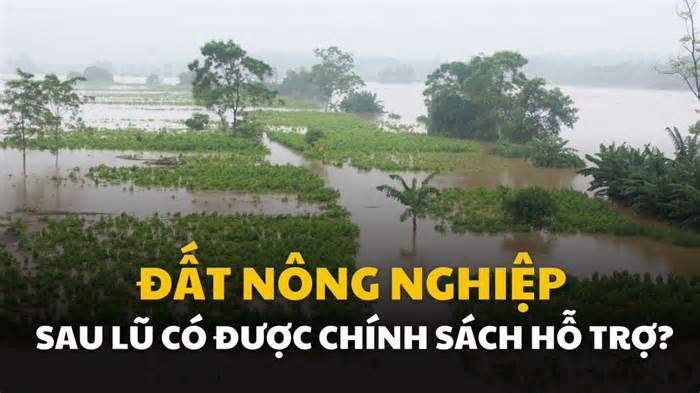 Đất nông nghiệp sau lũ có được Nhà nước hỗ trợ không?