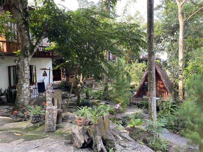 Loạt homestay trên núi Cấm ở An Giang bất ngờ bị dừng hoạt động