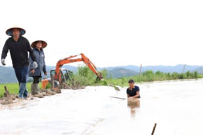 Đắk Lắk: Hỗ trợ người dân bị ảnh hưởng do mưa lũ phục hồi sản xuất