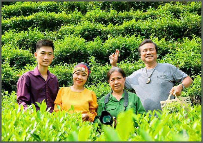 Chàng trai Tày mê làm chè sạch