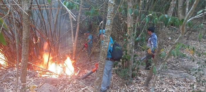 Bà Rịa-Vũng Tàu: Kịp thời khống chế vụ cháy rừng trên núi Dinh