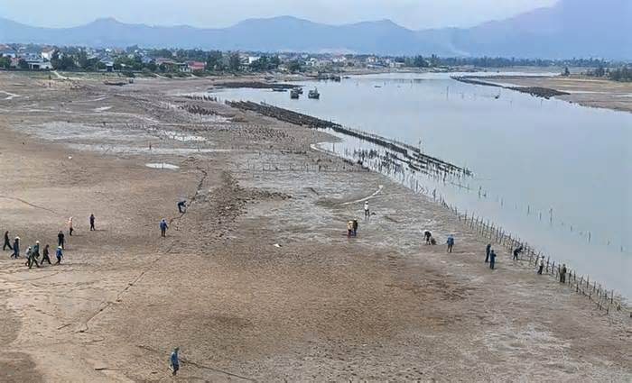 Tháo dỡ bãi nuôi hàu trái phép trên sông Rác