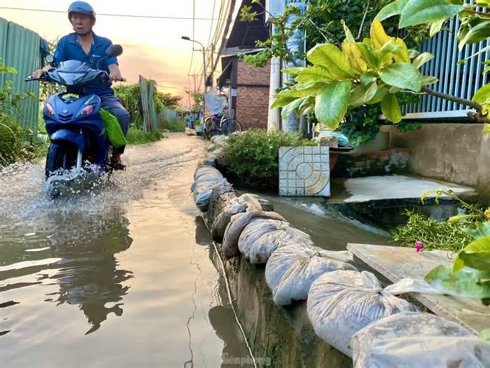 Người dân TPHCM khốn khổ đắp bao cát chống ngập khi kỳ triều cường dâng