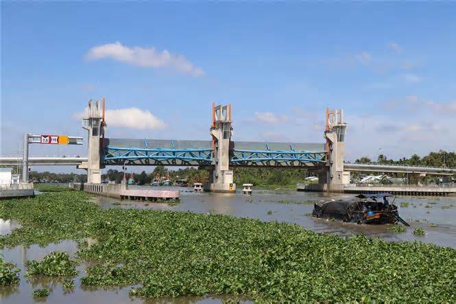 Các đợt xâm nhập mặn tăng cao ở cửa sông Cửu Long trong tháng Ba