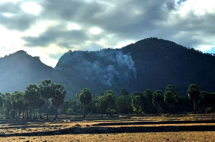 Đám cháy rừng Núi Tô đã lan sang sơn phận xã An Tức