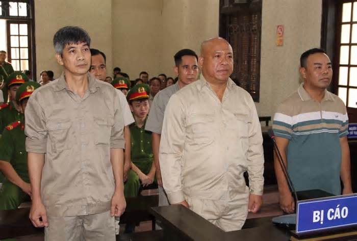Vụ đấu giá đất Cẩm Giang: Thủy 'gỗ' được giảm 6 tháng tù
