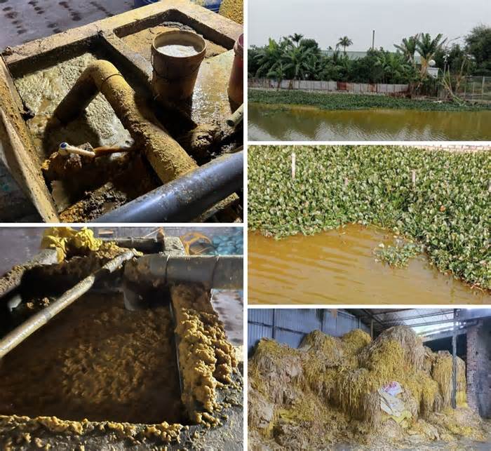 Thái Bình: Huyện Đông Hưng chỉ đạo xử lý vụ xưởng giấy gây ô nhiễm