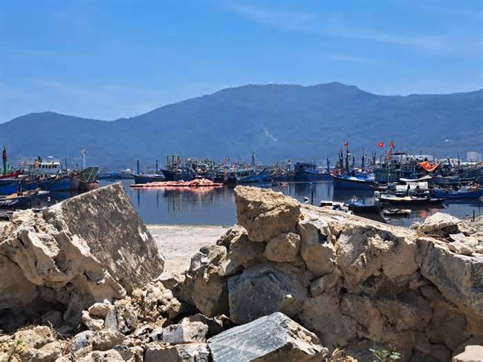 Đà Nẵng đề nghị bổ sung 50 tỉ đồng để cải tạo cảng cá lớn nhất miền Trung