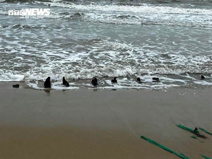 Xác tàu 'lộ thiên' ở bờ biển Quảng Nam: Có thể là ghe bầu bị chìm