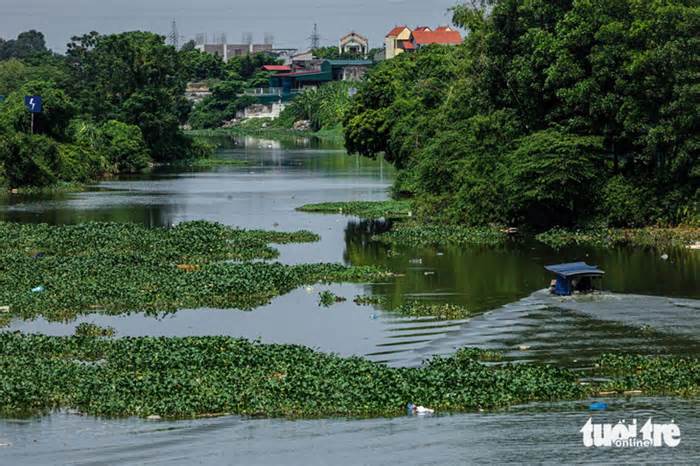 Nghiêm túc xử lý ô nhiễm trên kênh thủy lợi Bắc Hưng Hải