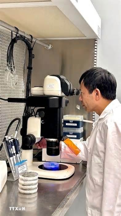 Chuyên gia khuyến nghị giải pháp tạo đột phá trong công nghệ sinh học cây trồng