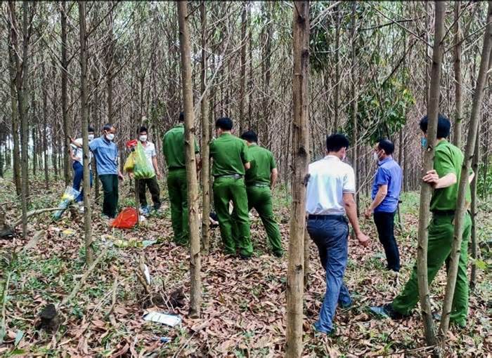 Tìm thấy nữ cựu chiến binh tử vong ở rừng tràm