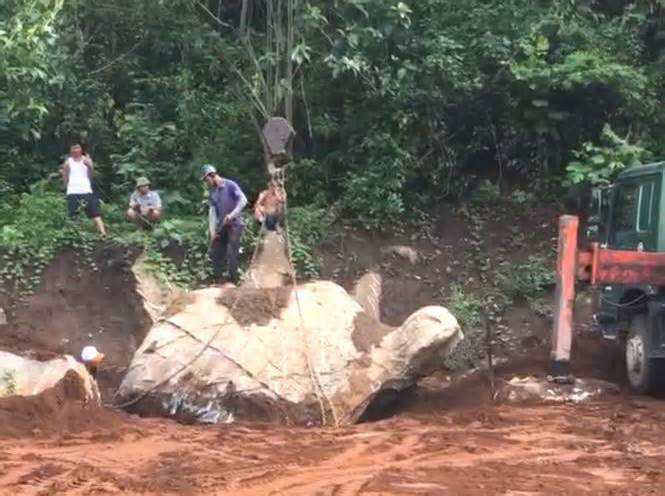 Người dân đào móng nhà được tảng đá hình con rùa gây xôn xao