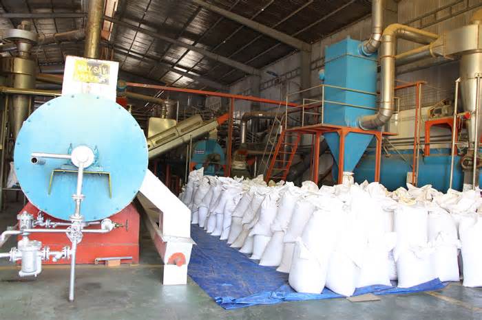 Nhức nhối ô nhiễm môi trường ở Cụm công nghiệp chế biến hải sản Phú Hài