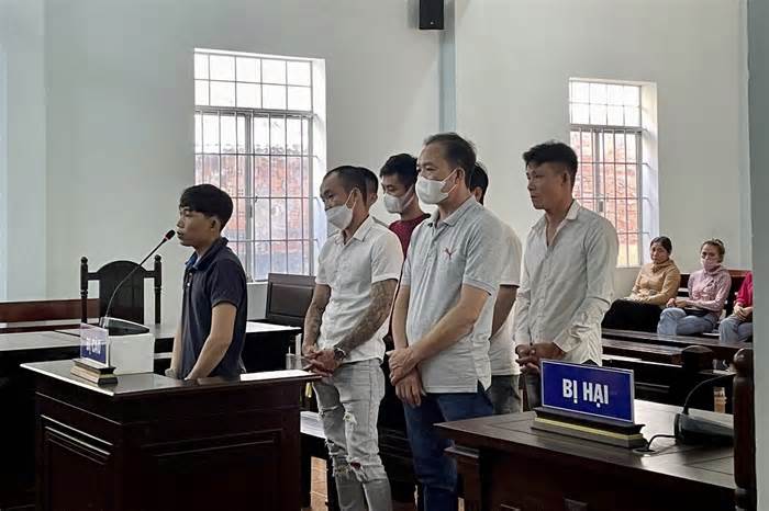Tuyên phạt hơn 10 năm tù băng nhóm trộm chó quy mô lớn ở Bình Thuận