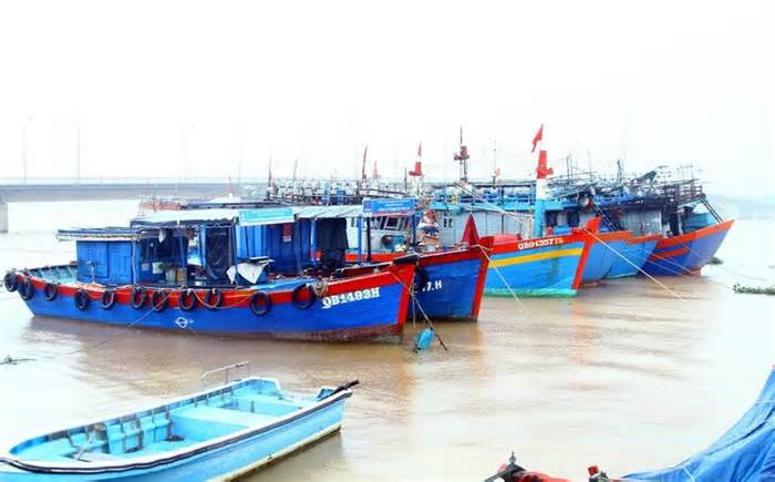 Quảng Bình hỗ trợ hơn 16,6 tỷ đồng cho tàu cá khai thác ngoài khơi