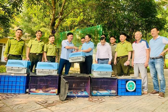 Thả 150 cá thể động vật hoang dã về Vườn quốc gia Vũ Quang