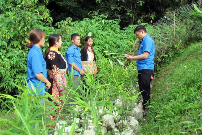 Gặp những người trẻ tiên phong