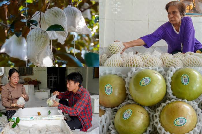 Liên kết vùng nguyên liệu sau sáp nhập, Cần Thơ có 859 sản phẩm OCOP