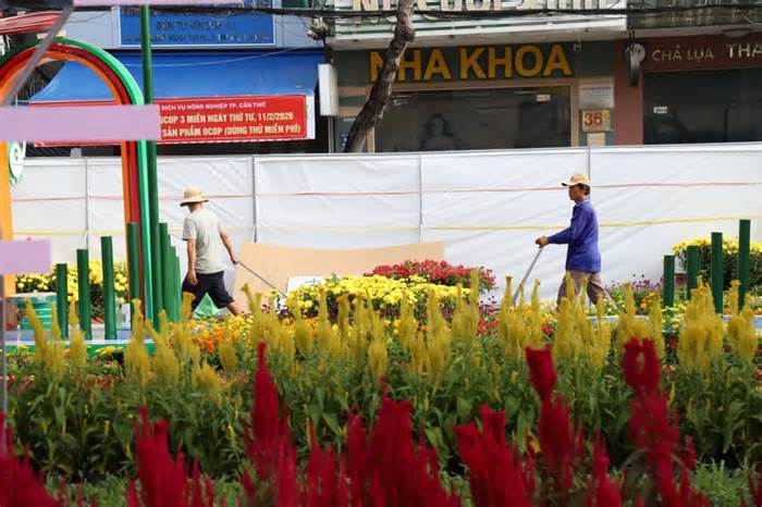 Ngắm đường hoa nghệ thuật Cần Thơ trước 'giờ G'