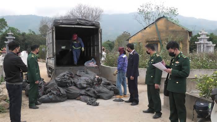 Lào Cai: Thu giữ, tiêu hủy hơn 1,5 tấn tai lợn không rõ nguồn gốc