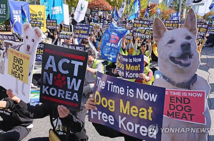 Hàn Quốc thông qua luật cấm tiêu thụ thịt chó, cho 'thời gian ân hạn' 3 năm