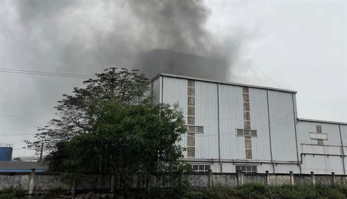Hải Phòng: Dập tắt đám cháy ở công ty chuyên sản xuất thức ăn gia súc