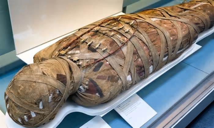 Xác ướp Ai Cập chứa đầy mầm bệnh và ký sinh trùng