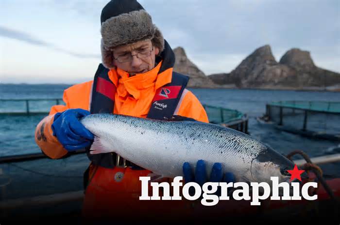 Khám phá công nghệ nuôi cá hồi xịn sò ở Na Uy