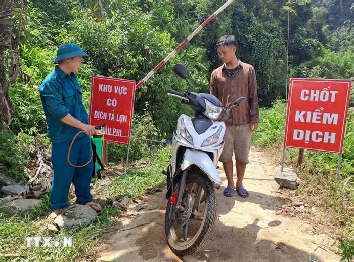 Hà Giang: Cơ bản khống chế dịch tả lợn châu Phi ở nhiều địa phương