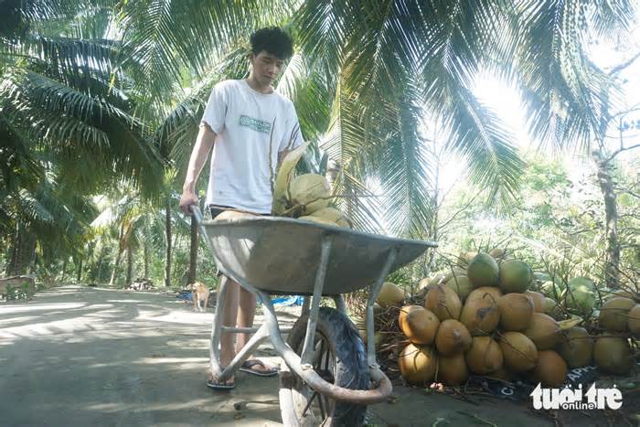 Khoe giấy báo trúng tuyển đại học trước di ảnh mẹ cha