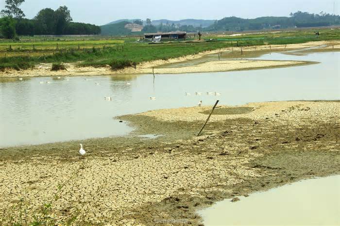 Nắng nóng khốc liệt, nhiều hồ đập ở Nghệ An cạn trơ đáy