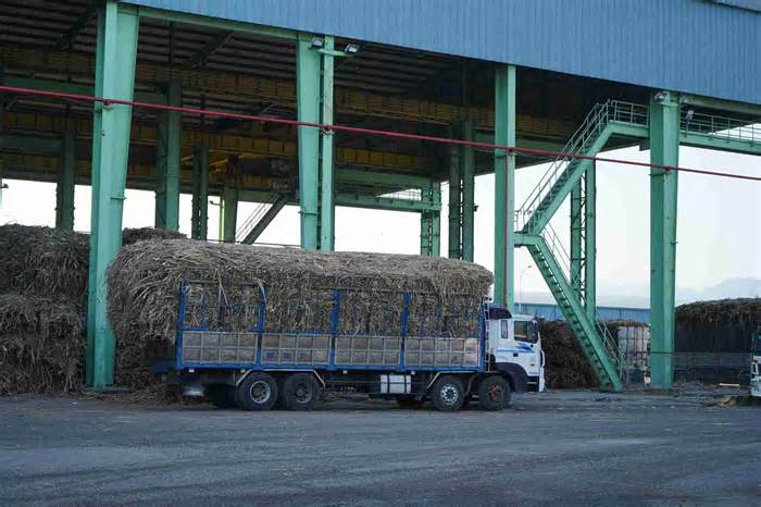 Người dân lo ngại ô nhiễm gần Nhà máy đường Cam Ranh, địa phương thuê quan trắc độc lập