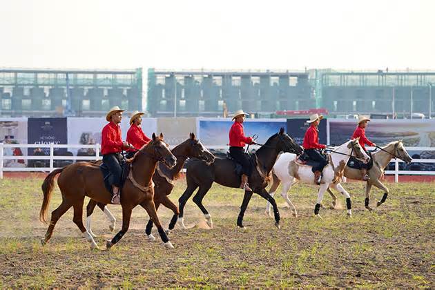 Ra mắt Học viện cưỡi ngựa tại Vinhomes Royal Island Vũ Yên, Hải Phòng