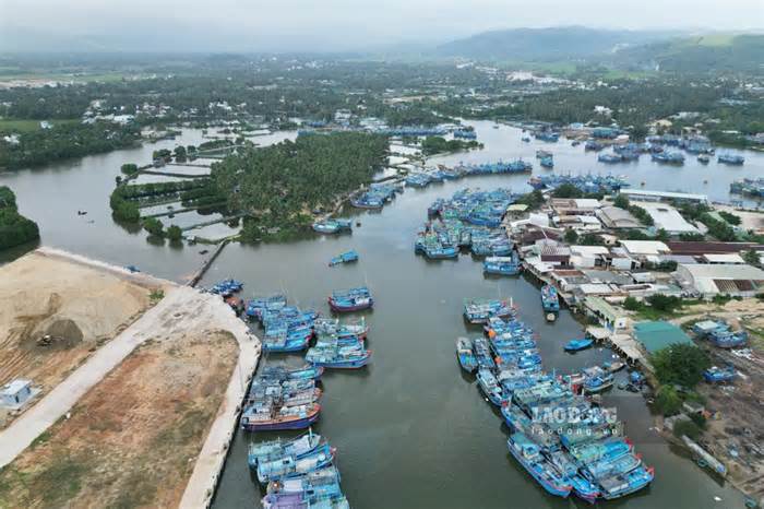 Bình Định tạm thu hồi giấy phép khai thác của 190 tàu cá
