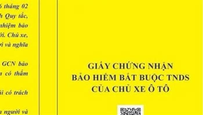 Bảo hiểm trách nhiệm dân sự ô tô có bắt buộc?