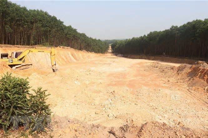 Quảng Trị: Phát hiện vụ đào, lấy đất lâm nghiệp trái phép quy mô lớn