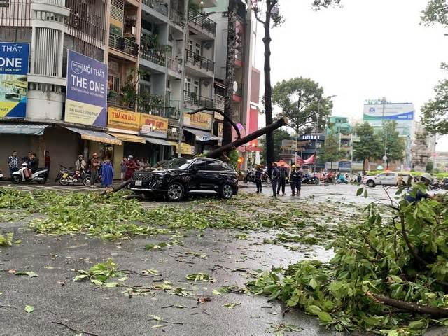 TPHCM: Nhiều cây xanh bật gốc, ô tô gặp nạn trên đường Ngô Gia Tự