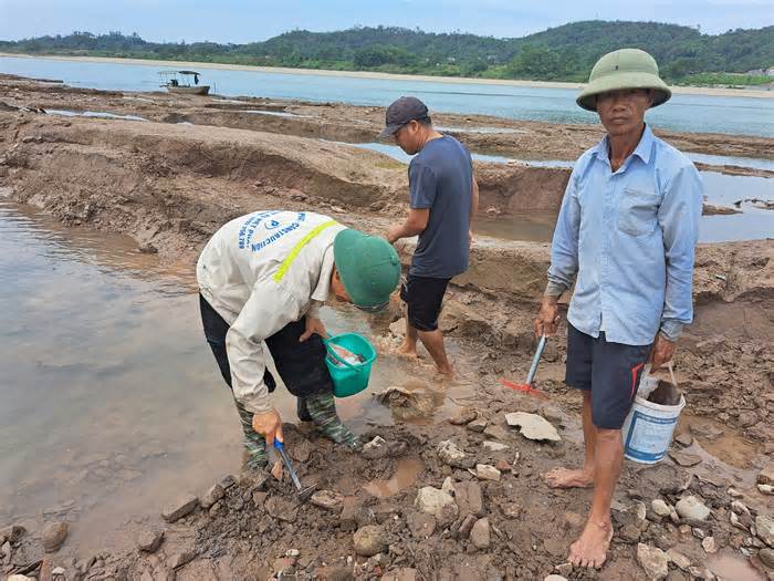 Nước sông Đà cạn khô, người dân đổ xô đi tìm cổ vật