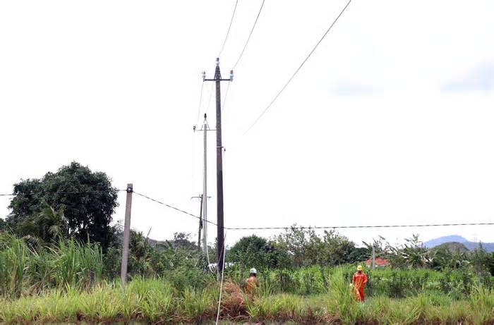 Phú Yên: Một công nhân tử vong khi sửa chữa đường dây điện