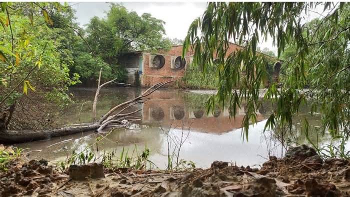 Trang trại ở Đà Nẵng nuôi heo làm nguồn nước Quảng Nam ô nhiễm