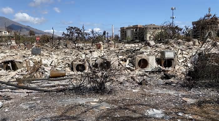 Thảm họa cháy rừng ở Hawaii: Số nạn nhân thiệt mạng tăng lên 114 người