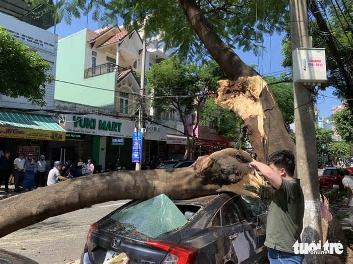 Thót tim vì nhánh cây gãy, đè trúng ô tô ở Đà Nẵng